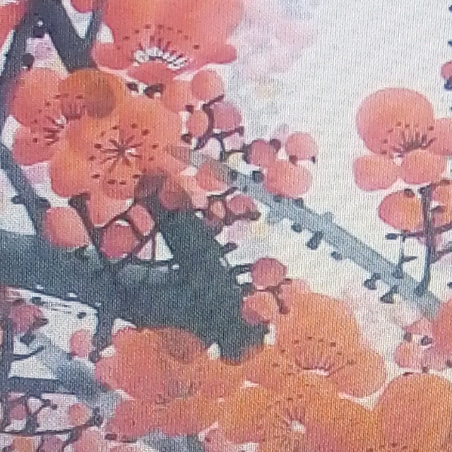 梅花泪曲谱大全_梅花泪图片大全大图(3)
