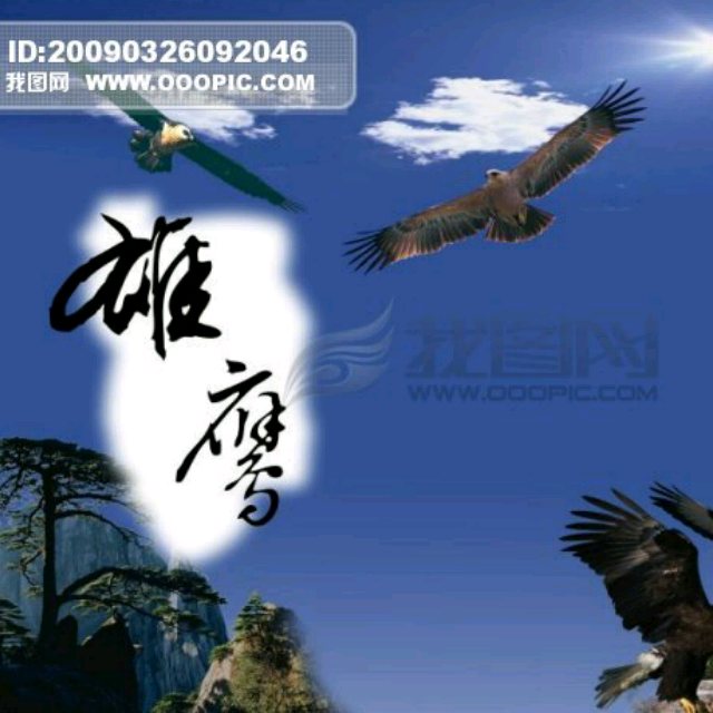 雄鹰在飞翔简谱_雄鹰在大海蓝天飞翔图