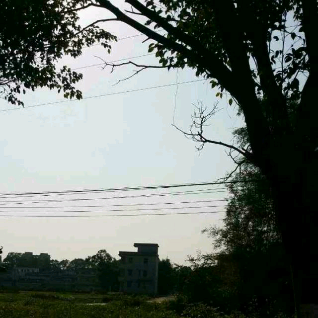 【帝女花之香夭】_帝女花之香夭伴奏