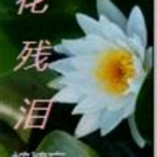 花贱泪曲谱