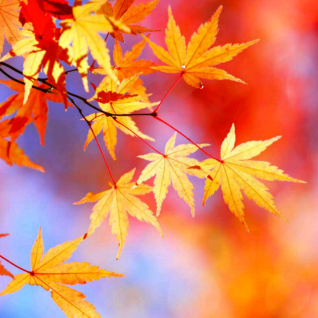 【我的好兄弟】_我的好兄弟伴奏_酷我K歌